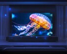 A Xiaomi TV FX Mini LED TV globális megjelenés előtt áll