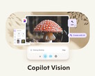 A Microsoft Copilot Vision on Windows with Highlights lehetővé teszi a Copilot AI számára, hogy lássa a látható információkat és alkalmazásokat, és kölcsönhatásba lépjen velük. (Kép forrása: Microsoft)