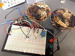 A teszteléshez két gombamemóriacellát csatlakoztattunk egy Arduino UNO mikrokontroller-fejlesztő lapra. (Kép forrása: LaRocco, J. et al. via PLOS One)