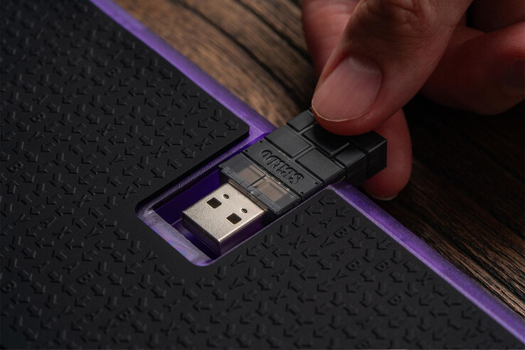 (Kép forrása: 8BitDo)