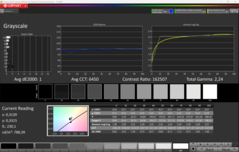 CalMAN szürkeárnyalatos kalibrált