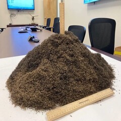 1 millió szúnyogból álló halom (Kép forrása: The Lee County Mosquito Control District; vágott kép)