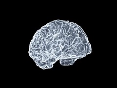 Egy művészi kép egy agyról (Kép forrása: Shawn Day via Unsplash; szerkesztve)