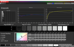 CalMAN szürkeárnyalatos