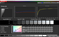 CalMAN szürkeárnyalatos