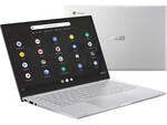 Asus Chromebook C425TA-DH384 Asus Chromebook C425TA-DH384